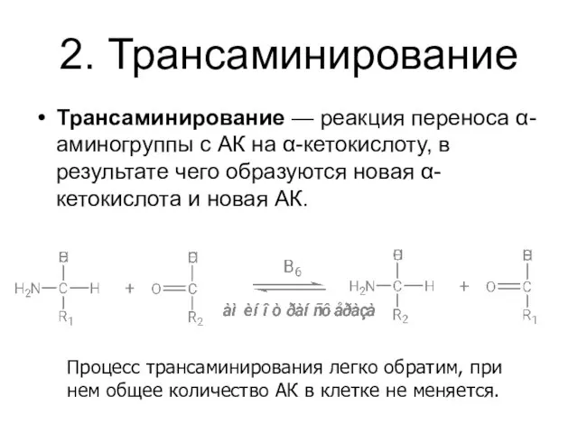 2. Трансаминирование Трансаминирование — реакция переноса α-аминогруппы с АК на α-кетокислоту,