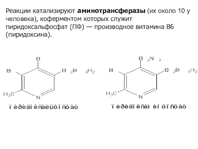 Реакции катализируют аминотрансферазы (их около 10 у человека), коферментом которых служит