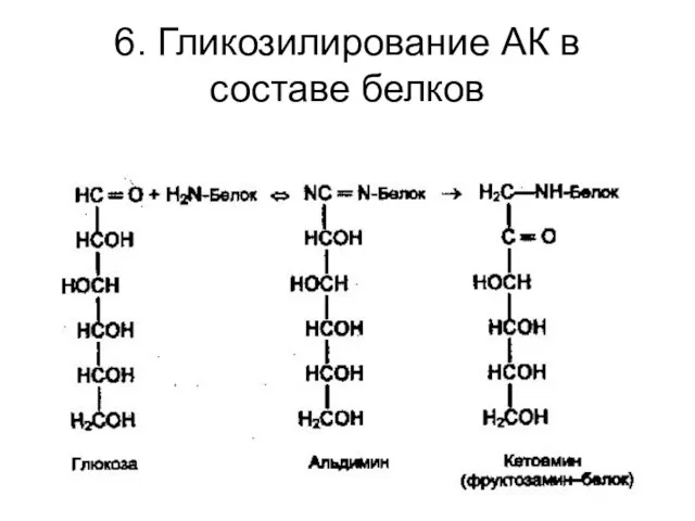 6. Гликозилирование АК в составе белков