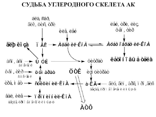 СУДЬБА УГЛЕРОДНОГО СКЕЛЕТА АК