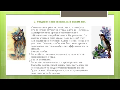 3. Создайте свой уникальный режим дня. «Совы» и «жаворонки» существуют, и