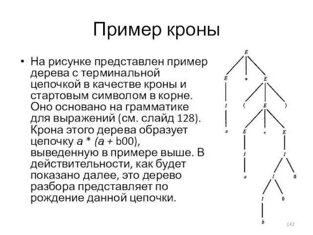 Пример кроны На рисунке представлен пример дерева с терминальной цепочкой в