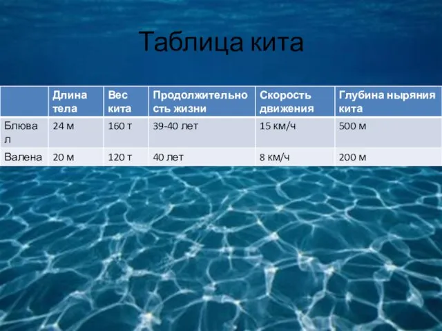 Таблица кита