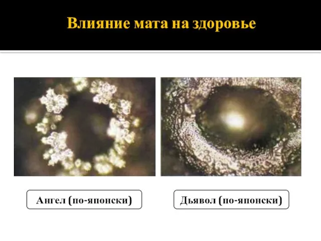 Влияние мата на здоровье Ангел (по-японски) Дьявол (по-японски)