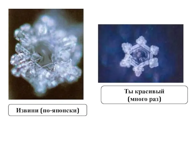 Ты красивый (много раз) Извини (по-японски)