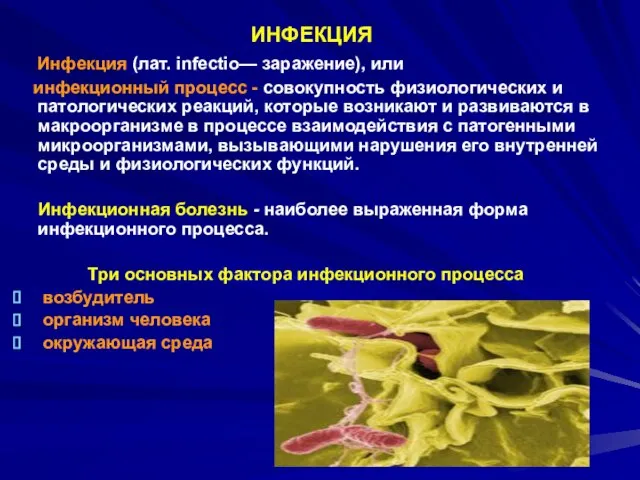 Инфекция (лат. infectio— заражение), или инфекционный процесс - совокупность физиологических и