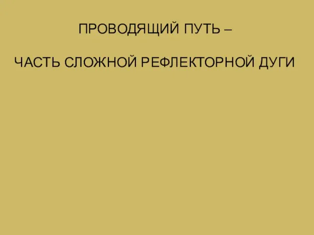 ПРОВОДЯЩИЙ ПУТЬ – ЧАСТЬ СЛОЖНОЙ РЕФЛЕКТОРНОЙ ДУГИ