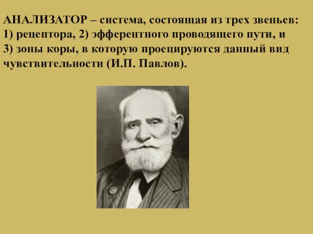 АНАЛИЗАТОР – система, состоящая из трех звеньев: 1) рецептора, 2) эфферентного