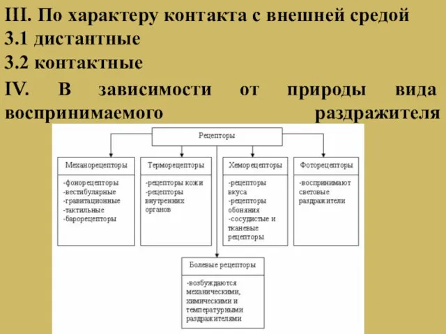 III. По характеру контакта с внешней средой 3.1 дистантные 3.2 контактные