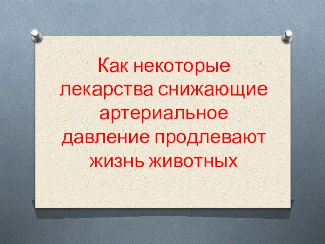 Как некоторые лекарства снижающие артериальное давление продлевают жизнь животных