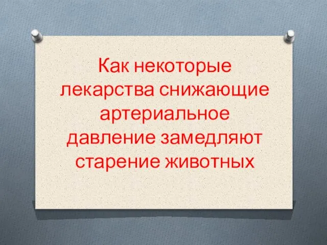 Как некоторые лекарства снижающие артериальное давление замедляют старение животных