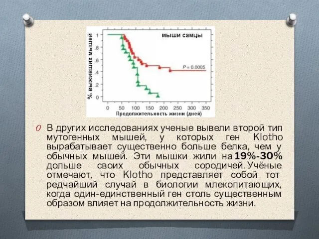 В других исследованиях ученые вывели второй тип мутогенных мышей, у которых