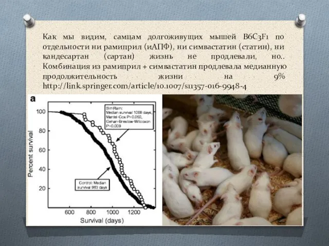 Как мы видим, самцам долгоживущих мышей B6C3F1 по отдельности ни рамиприл