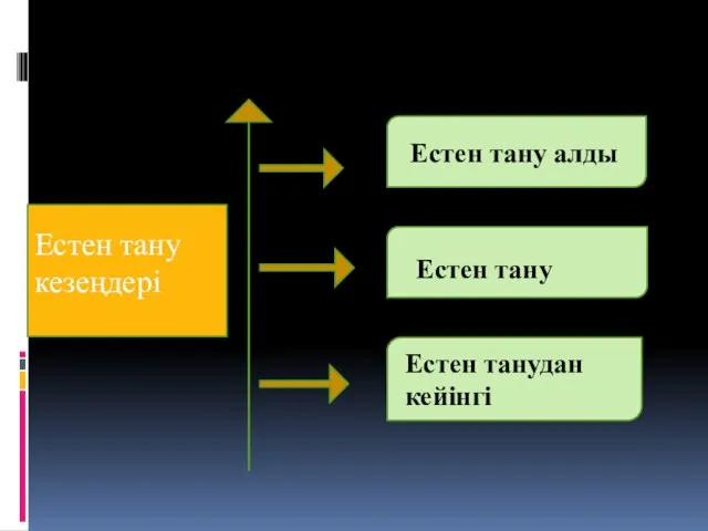 Естен тану кезеңдері Естен тану алды Естен тану Естен танудан кейінгі