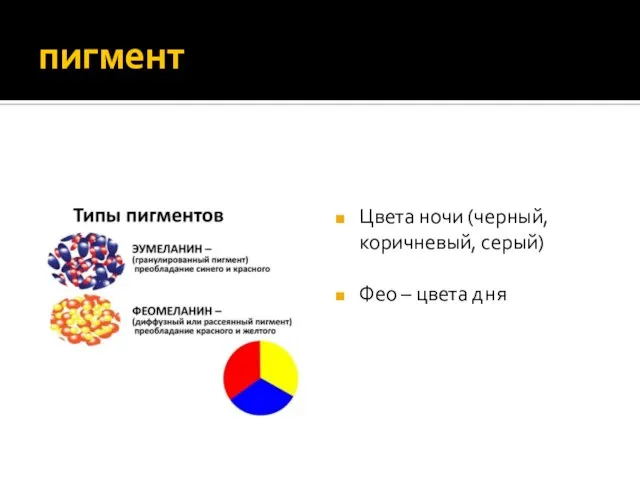 пигмент Цвета ночи (черный, коричневый, серый) Фео – цвета дня