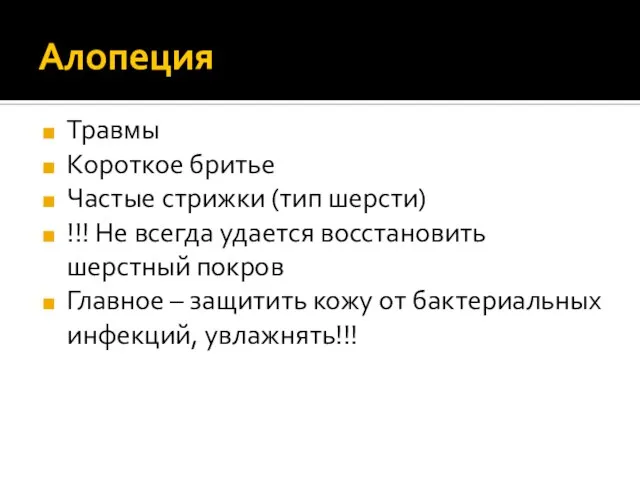 Алопеция Травмы Короткое бритье Частые стрижки (тип шерсти) !!! Не всегда