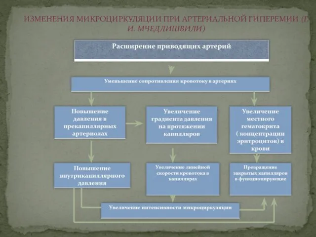 ИЗМЕНЕНИЯ МИКРОЦИРКУЛЯЦИИ ПРИ АРТЕРИАЛЬНОЙ ГИПЕРЕМИИ (Г. И. МЧЕДЛИШВИЛИ)