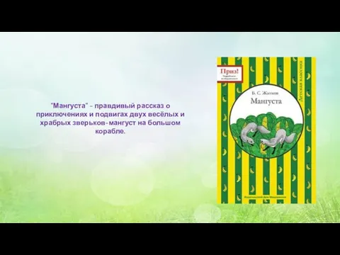 "Мангуста" - правдивый рассказ о приключениях и подвигах двух весёлых и храбрых зверьков-мангуст на большом корабле.