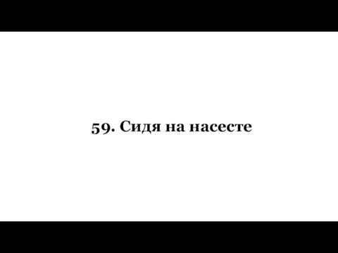 59. Сидя на насесте