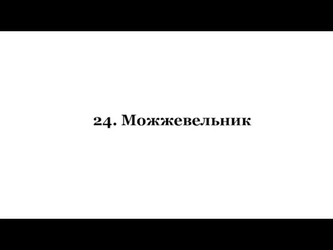 24. Можжевельник