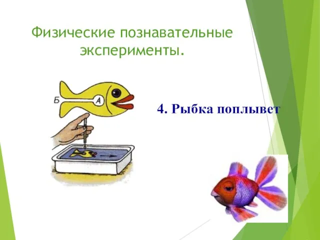 Физические познавательные эксперименты. 4. Рыбка поплывет