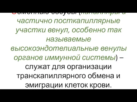 Обменные сосуды (капилляры и частично посткапиллярные участки венул, особенно так называемые