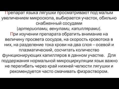 Препарат языка лягушки просматривают под малым увеличением микроскопа, выбирается участок, обильно