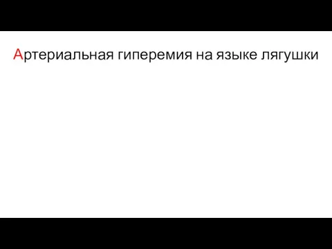 Артериальная гиперемия на языке лягушки