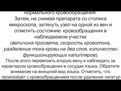 Под малым увеличением изучить картину нормального кровообращения. Затем, не снимая препарата