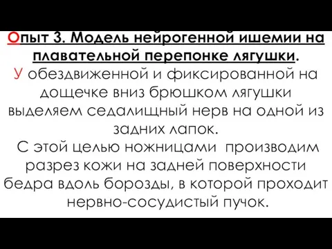 Опыт 3. Модель нейрогенной ишемии на плавательной перепонке лягушки. У обездвиженной