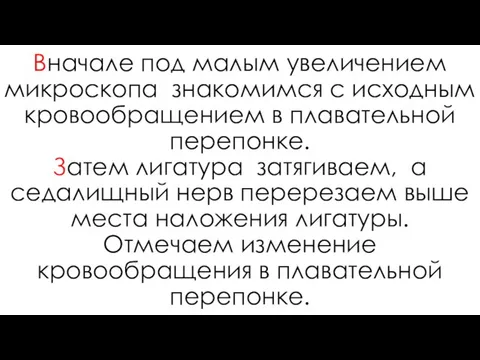 Вначале под малым увеличением микроскопа знакомимся с исходным кровообращением в плавательной