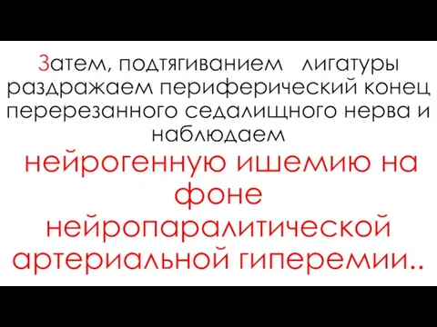 Затем, подтягиванием лигатуры раздражаем периферический конец перерезанного седалищного нерва и наблюдаем