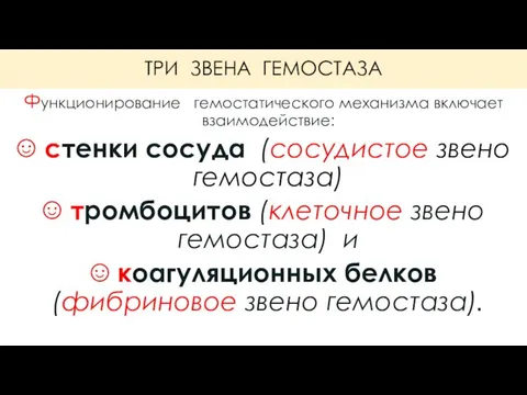 ТРИ ЗВЕНА ГЕМОСТАЗА Функционирование гемостатического механизма включает взаимодействие: ☺ стенки сосуда