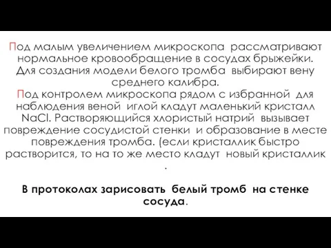 Под малым увеличением микроскопа рассматривают нормальное кровообращение в сосудах брыжейки. Для