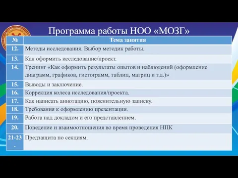 Программа работы НОО «МОЗГ»