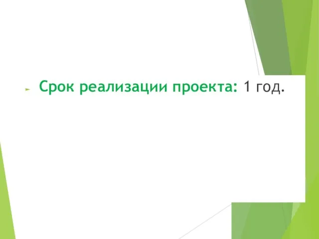 Срок реализации проекта: 1 год.