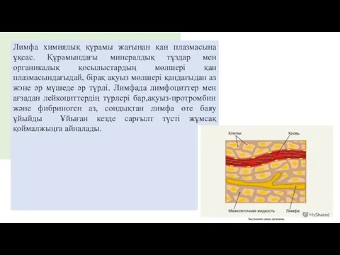 Лимфа химиялық қүрамы жағынан қан плазмасына ұқсас. Құрамындағы минералдық тұздар мен