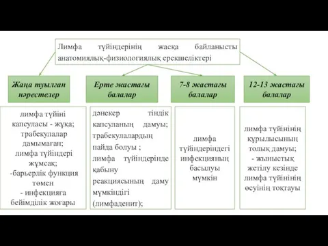 Лимфа түйіндерінің жасқа байланысты анатомиялық-физиологиялық ерекшеліктері Жаңа туылған нәрестелер Ерте жастағы