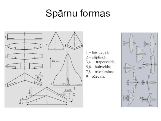 Spārnu formas 1 – taisnleņķa; 2 – eliptiska; 3,4 – trapecveida;