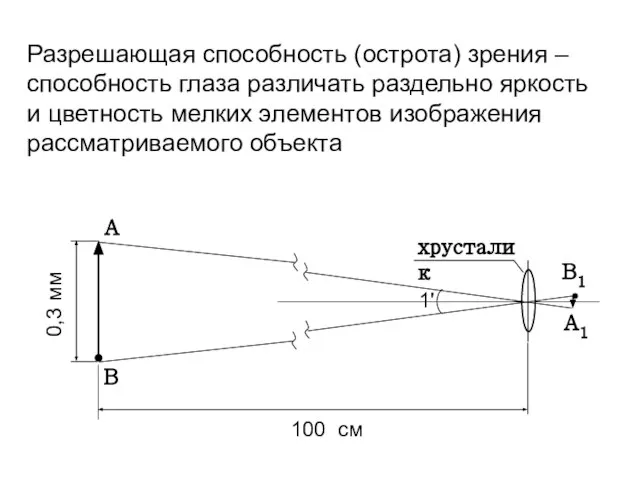 Разрешающая способность (острота) зрения – способность глаза различать раздельно яркость и
