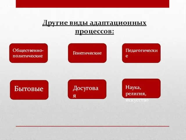 Другие виды адаптационных процессов: Общественно-политические Генетические Педагогические Бытовые Досуговая Наука,религия,искусство