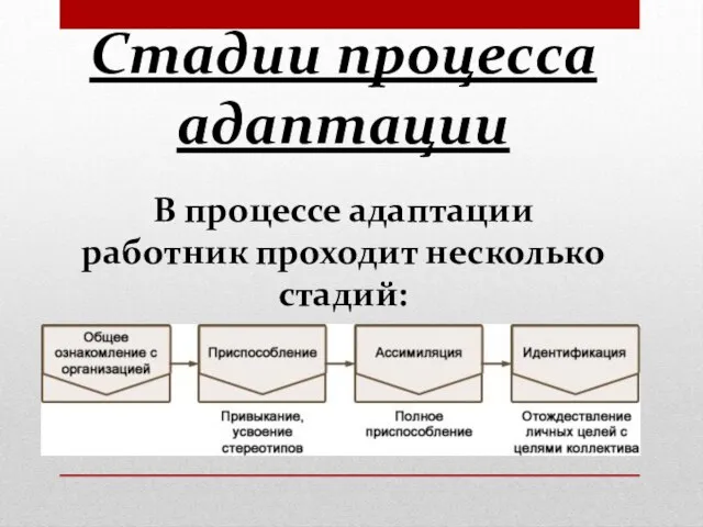 В процессе адаптации работник проходит несколько стадий: Стадии процесса адаптации