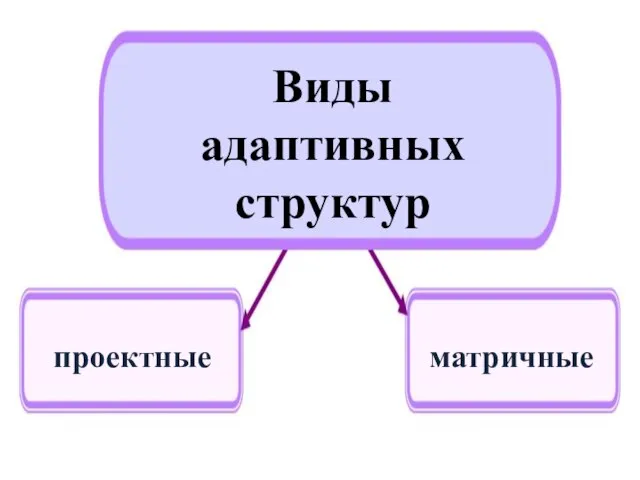 Виды адаптивных структур проектные матричные