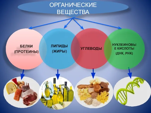 ОРГАНИЧЕСКИЕ ВЕЩЕСТВА