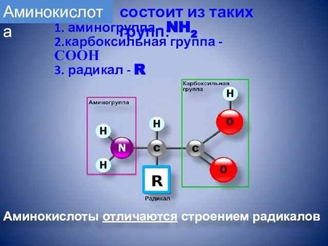 1. аминогруппа - NH2 2.карбоксильная группа - СООН 3. радикал -