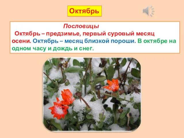 Пословицы Октябрь – предзимье, первый суровый месяц осени. Октябрь – месяц