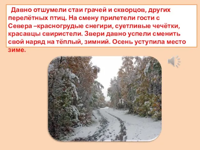 Давно отшумели стаи грачей и скворцов, других перелётных птиц. На смену