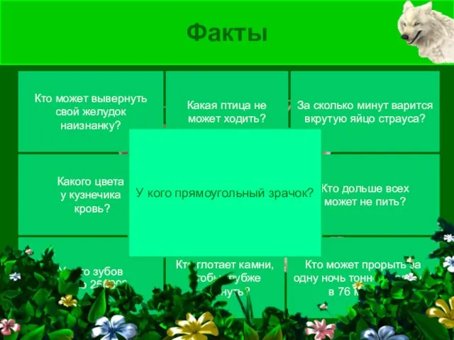 Факты Кто может вывернуть свой желудок наизнанку? Какого цвета у кузнечика