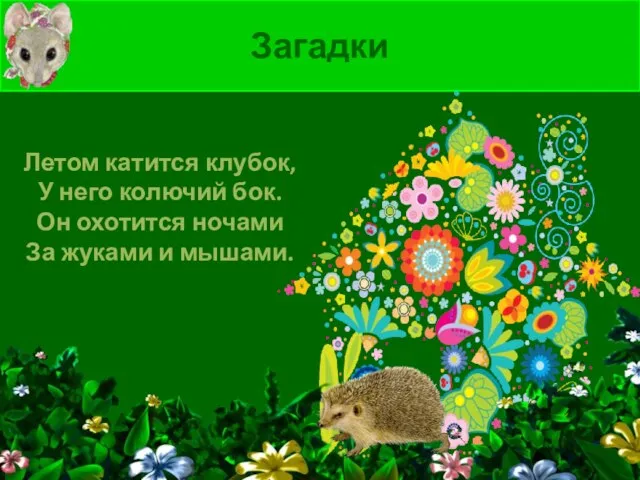 Загадки Летом катится клубок, У него колючий бок. Он охотится ночами За жуками и мышами.