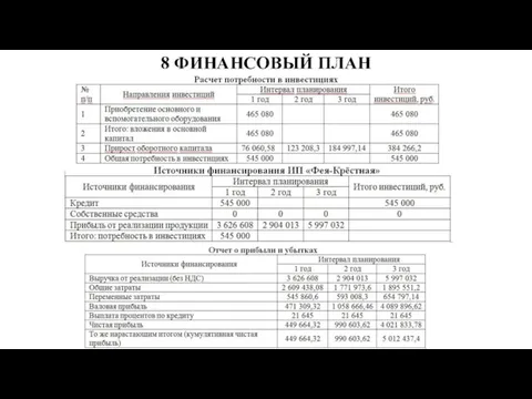 8 ФИНАНСОВЫЙ ПЛАН